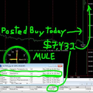 MULE-300x300 Tuesday March 20, 2018, Today Stock Market